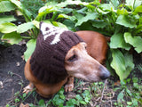 Halloween hat for dog with skull and cross bones