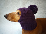 Warm hat for dog or cat, hat for a dog, hat for small dog, hat for dachshund, knitted hat, warm ears of dog dachshundknit