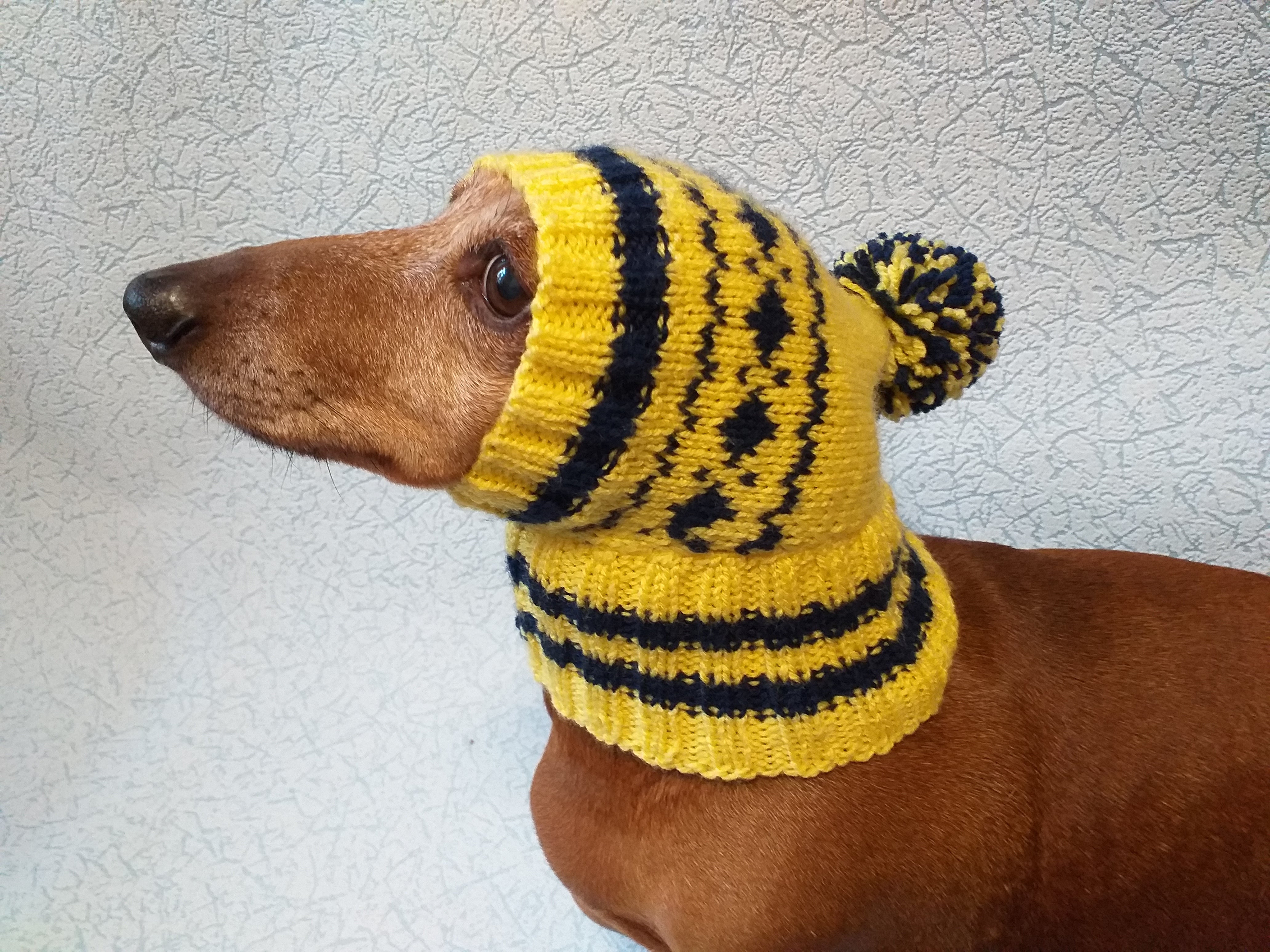 Winter knitted hat for small dog hat for dogs pet clothes winter