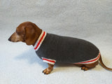 Knitted warm dachshund sweater, gray dog sweater with stripes dachshundknit