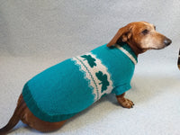 Dachshund clover clothing St. Patrick's Day, dog clover sweater dachshundknit