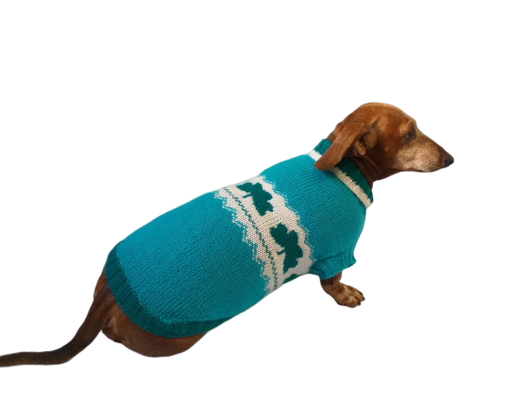 Dachshund clover clothing St. Patrick's Day, dog clover sweater dachshundknit