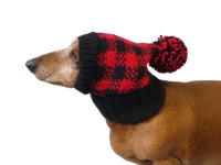 Knitted check hat for dachshund or small dog