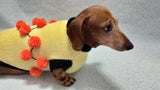 Sweater for a dog lot of pompons, sweater Halloween for dog dachshundknit