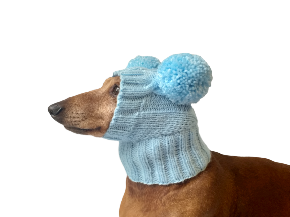 Blue hat for dog with two pompons, hat for dachshund with two pompons dachshundknit