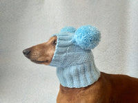 Blue hat for dog with two pompons, hat for dachshund with two pompons dachshundknit