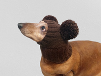 Hat for dog with two pompons, hat for dachshund with two pompons dachshundknit