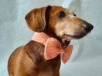 Knitted dog collar bow tie