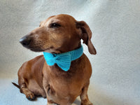 Knitted collar bow for dog or cat