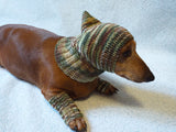 Camouflage kit hat and leggings for dogs, Military kit for dachshunds