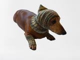 Camouflage kit hat and leggings for dogs, Military kit for dachshunds