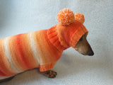 Wiener costume sweater and hat, Doxie sweater and hat set, clothes for small dog of dachshund