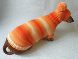 Wiener costume sweater and hat, Doxie sweater and hat set, clothes for small dog of dachshund