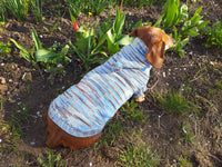 Knitted hoodie sweater for dog, hoodie for miniature dachshund dachshundknit