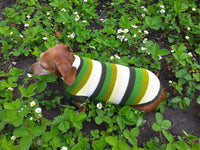 Dachshund clothes striped sweater dachshundknit