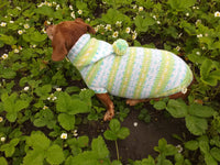 Clothing for dachshund or small dog with sweater with hoodie dachshundknit