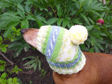 Warm winter hat with pompom for small dog