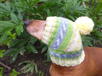 Warm winter hat with pompom for small dog