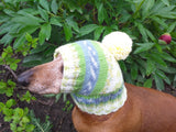 Warm winter hat with pompom for small dog