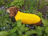 Yellow knitted sweater for dachshund or small dog dachshundknit