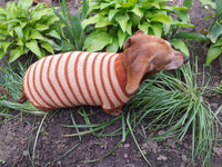 Clothing for dachshunds brown striped sweater for dachshunds dachshundknit