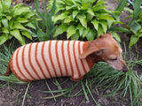 Clothing for dachshunds brown striped sweater for dachshunds dachshundknit