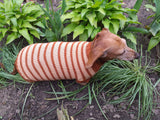 Clothing for dachshunds brown striped sweater for dachshunds dachshundknit