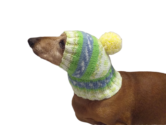 Warm winter hat with pompom for small dog