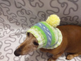 Warm winter hat with pompom for small dog