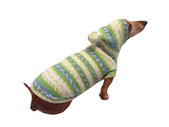 Clothing for dachshund or small dog with sweater with hoodie dachshundknit