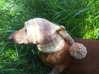 Knitted hat with pom pom for dogs, dachshund hat