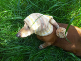 Knitted hat with pom pom for dogs, dachshund hat