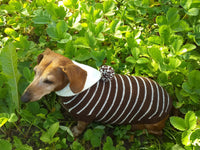 Brown Striped Hoodies for Dogs dachshundknit