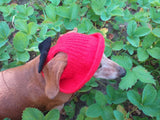 Pet clothes red summer hat with black bow, panama for dachshund