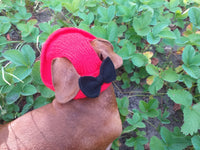 Pet clothes red summer hat with black bow, panama for dachshund