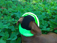 Knitted summer panama for dog, panama for dachshund, summer hat for dog