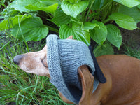 Summer hat Panama for the dog gray with black bow, summer clothes for pets