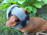 Summer hat Panama for the dog gray with black bow, summer clothes for pets