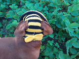 Knitted summer panama for dog, panama for dachshund, summer hat for dog dachshundknit