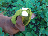 Knitted summer panama for dog, panama for dachshund, summer hat for dog