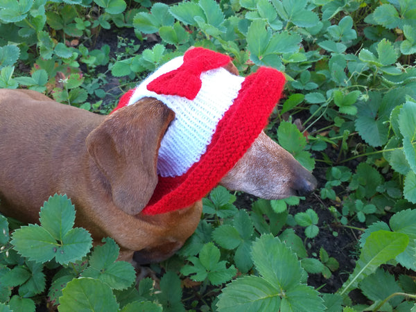 Knitted summer panama for dog, panama for dachshund, summer hat for dog