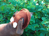 Pet clothes summer hat, panama for dachshund