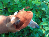 Pet clothes summer hat, panama for dachshund