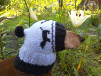 Hat for dachshund with dogs, knitted hat for dogs with dogs
