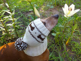 Clothing for dog hat with bones