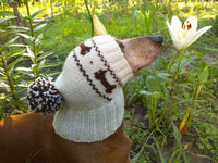 Clothing for dog hat with bones