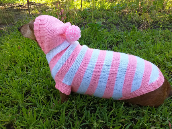 Knitted dachshund sweater with striped hood and pompom, hoodie for dachshund dachshundknit