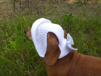 Summer knitted hat for dogs, panama for dogs,  hat for dog dachshundknit