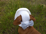 Summer knitted hat for dogs, panama for dogs,  hat for dog dachshundknit