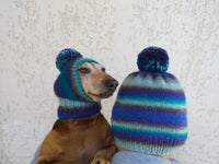 Mistress and dog set of knitted hats with pompom, women's hat and hat for dog